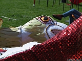 IMG_6140