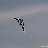 Dieppe200800458
