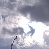 Dieppe200800460