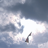 Dieppe200800461