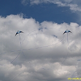 Dieppe200800484