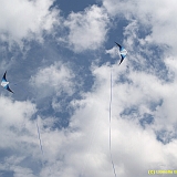 Dieppe200800486