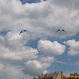Dieppe200800492