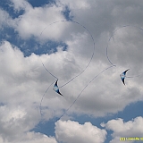 Dieppe200800494