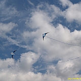 Dieppe200800495