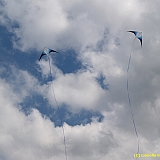 Dieppe200800496
