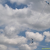 Dieppe200800499