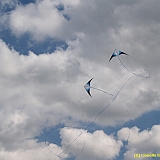 Dieppe200800500
