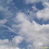 Dieppe200800501