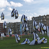 Dieppe2008022