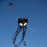 Dieppe2008382