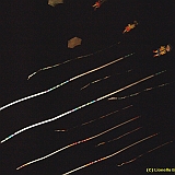 Dieppe200800800