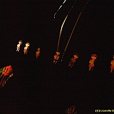 Dieppe200800808