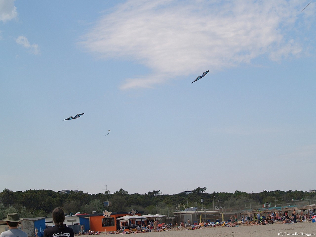 L0010380-a.jpg