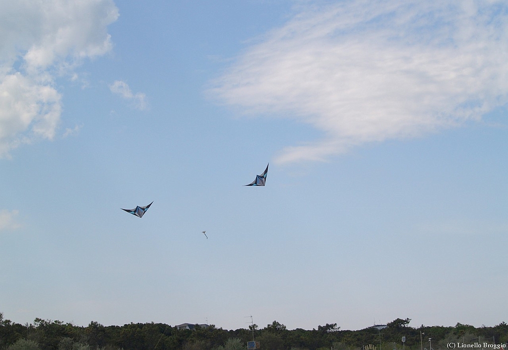 L0010381-a.jpg