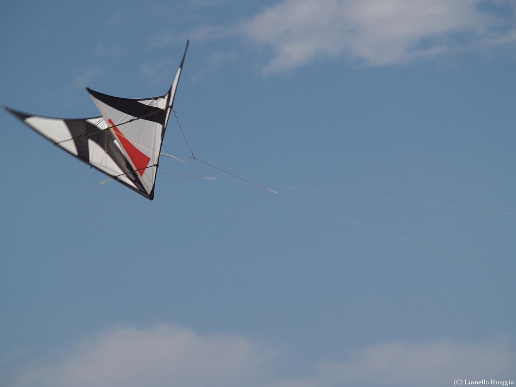 L0010408.jpg
