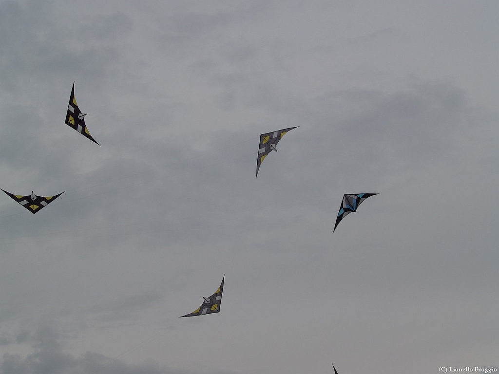 L0020588.jpg