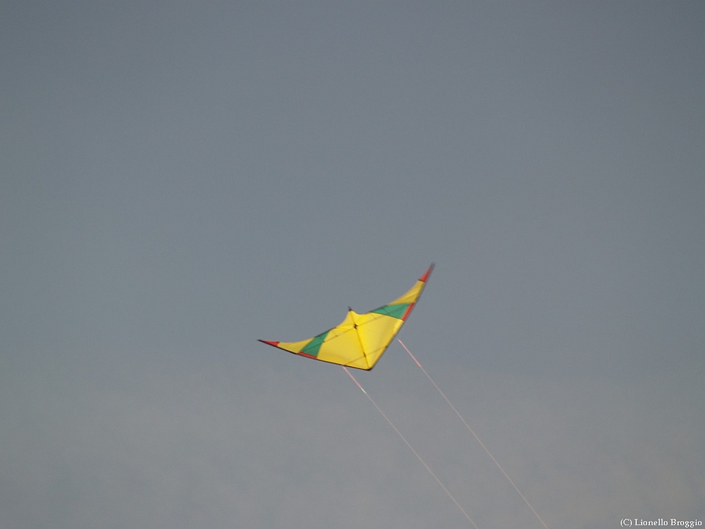 L0300243.jpg