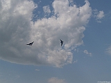 L0010379