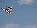 L0010408