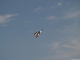 L0010409