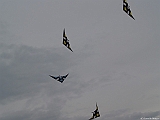 L0020580