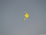 L0300242