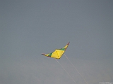 L0300243