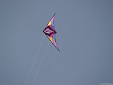 L0300251