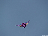 L0300252