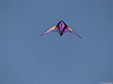 L0300253