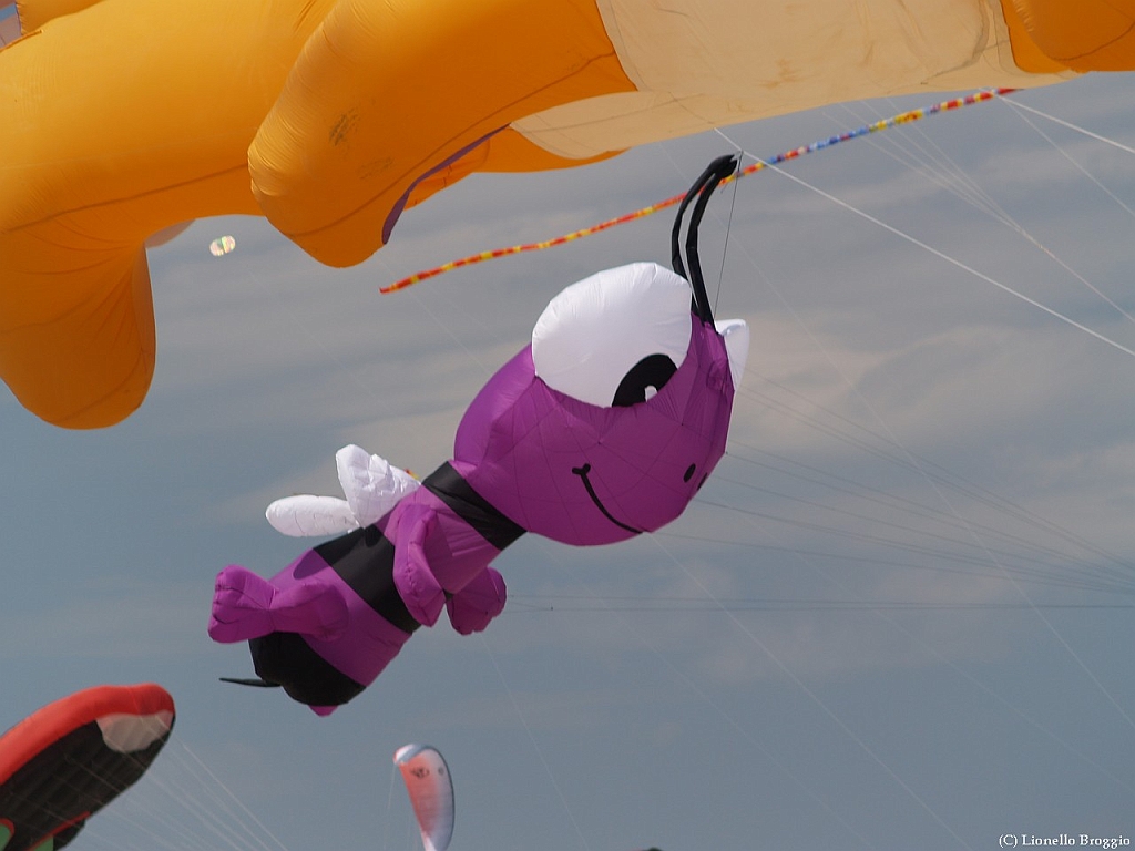 L0010347.jpg