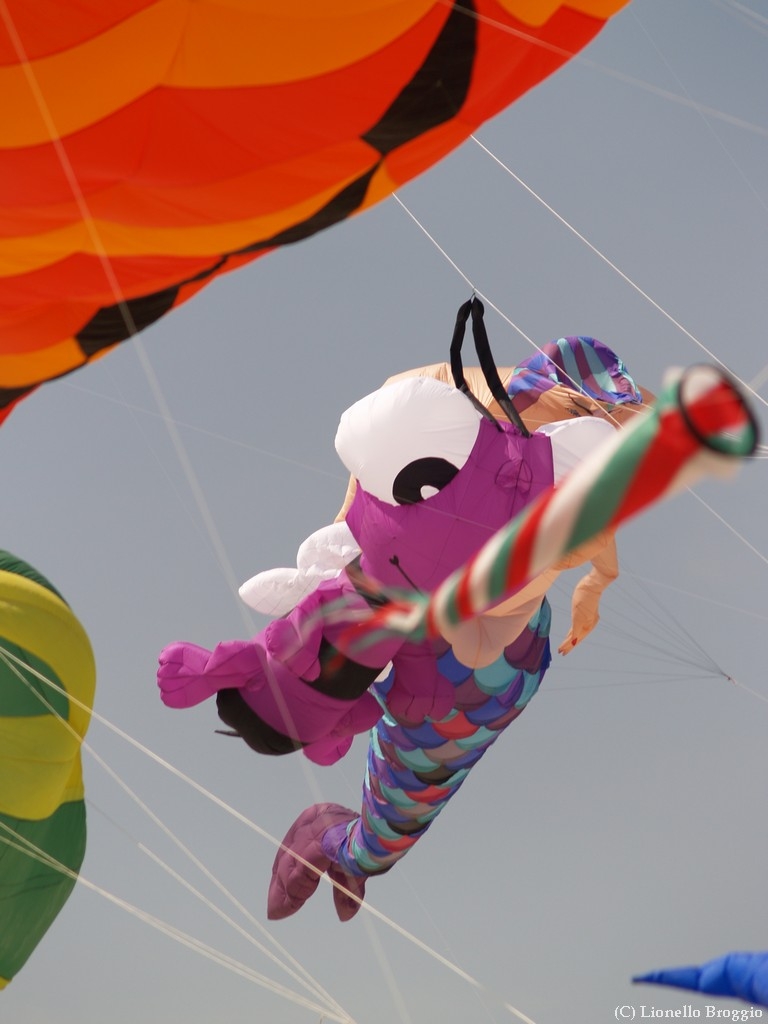 L0010358.jpg