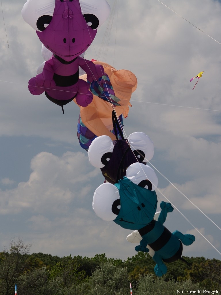 L0010360.jpg
