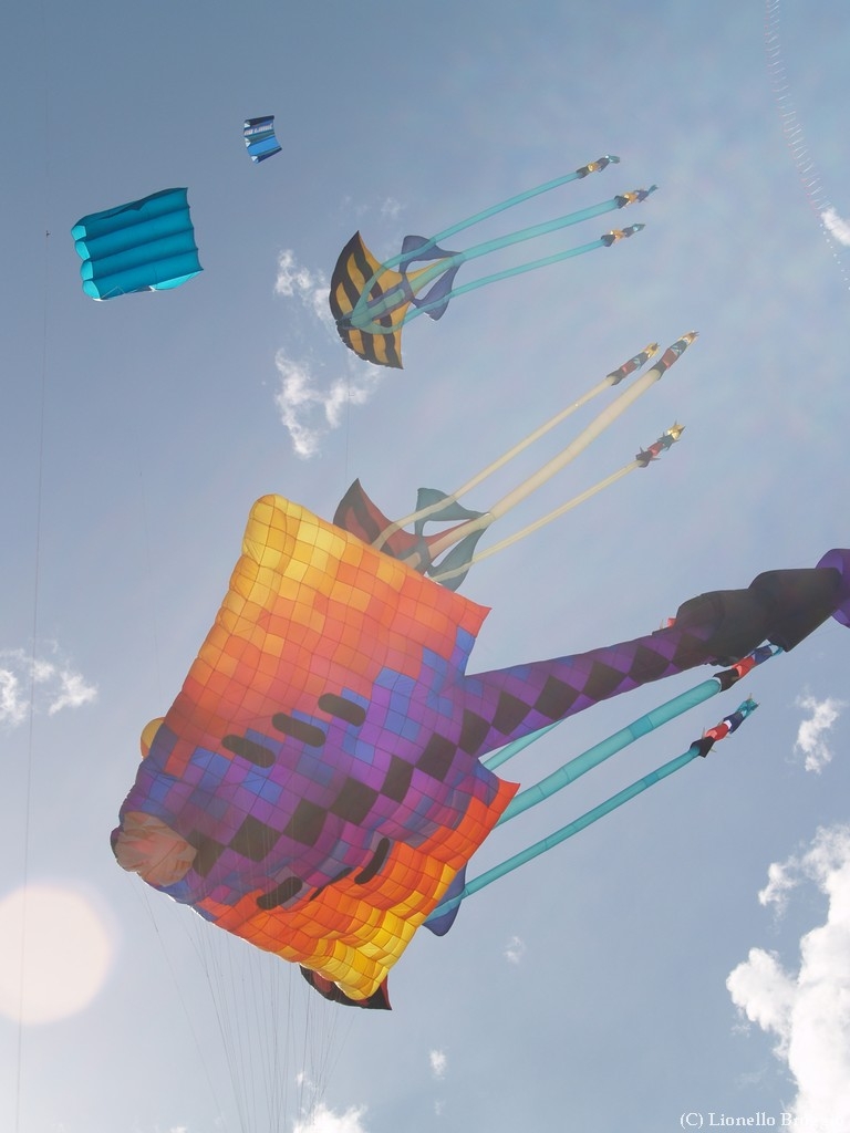 L0010362.jpg