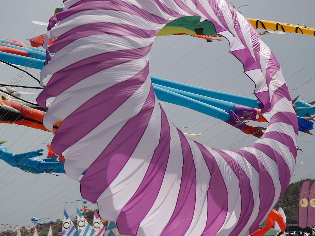 L0010373.jpg