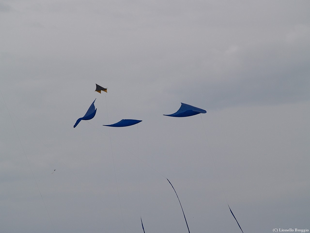 L0020566.jpg