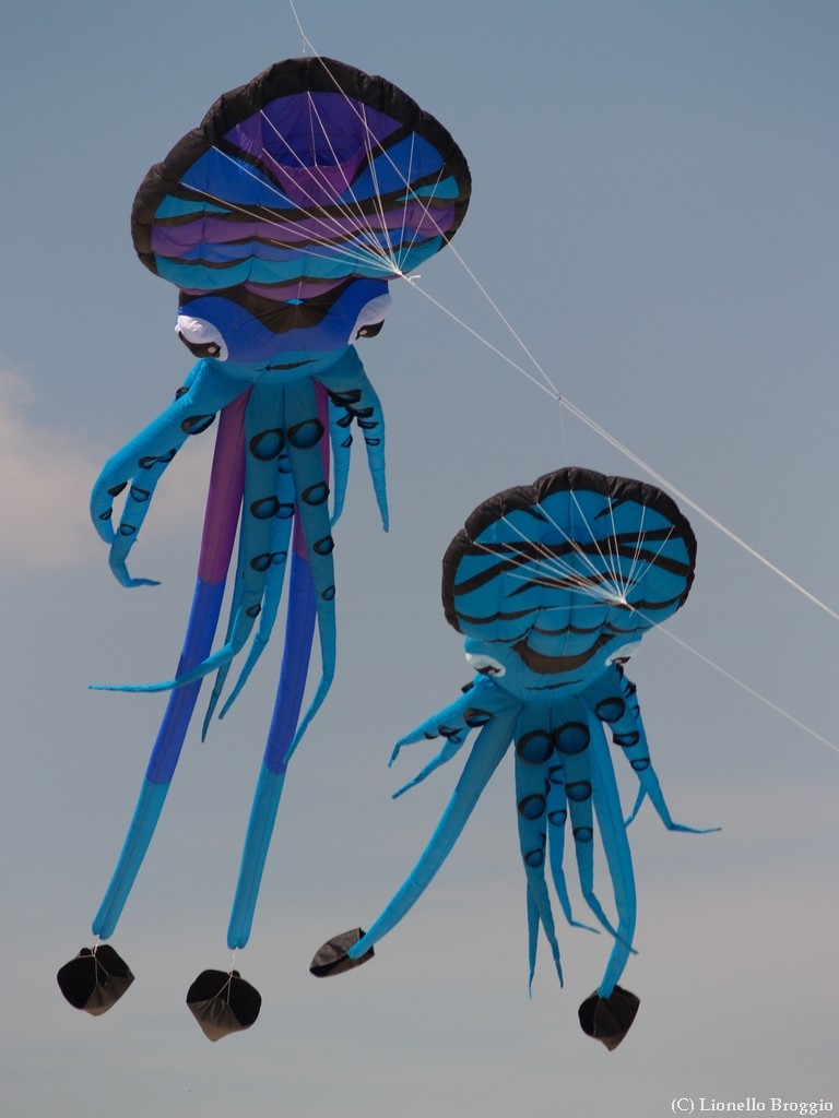 L0300221.jpg