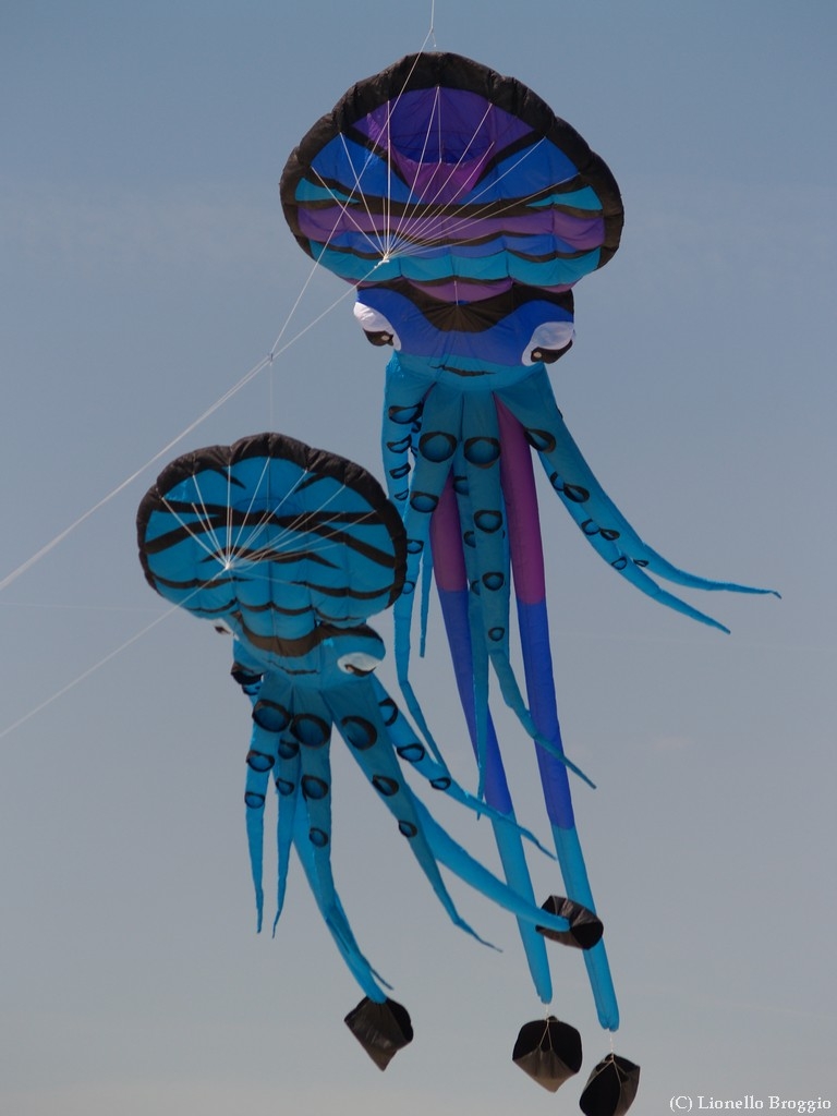 L0300223.jpg
