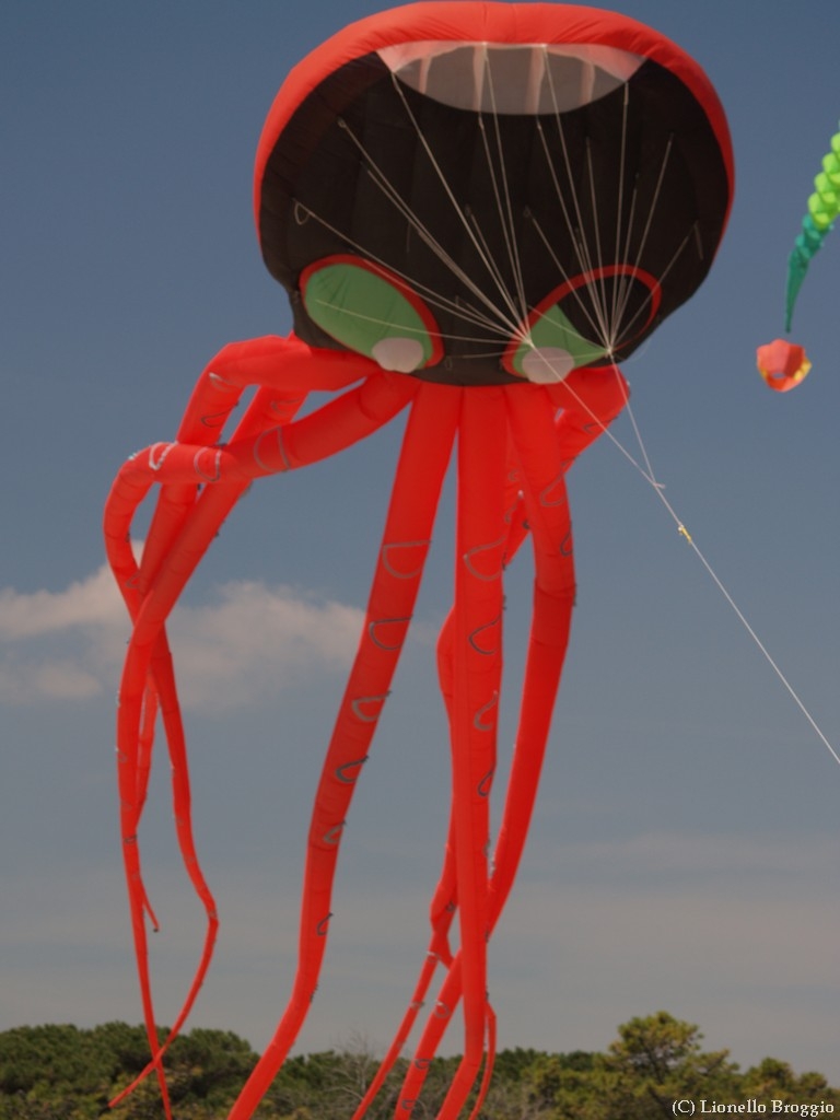 L0300224.jpg