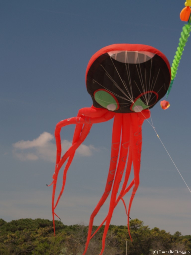 L0300225.jpg