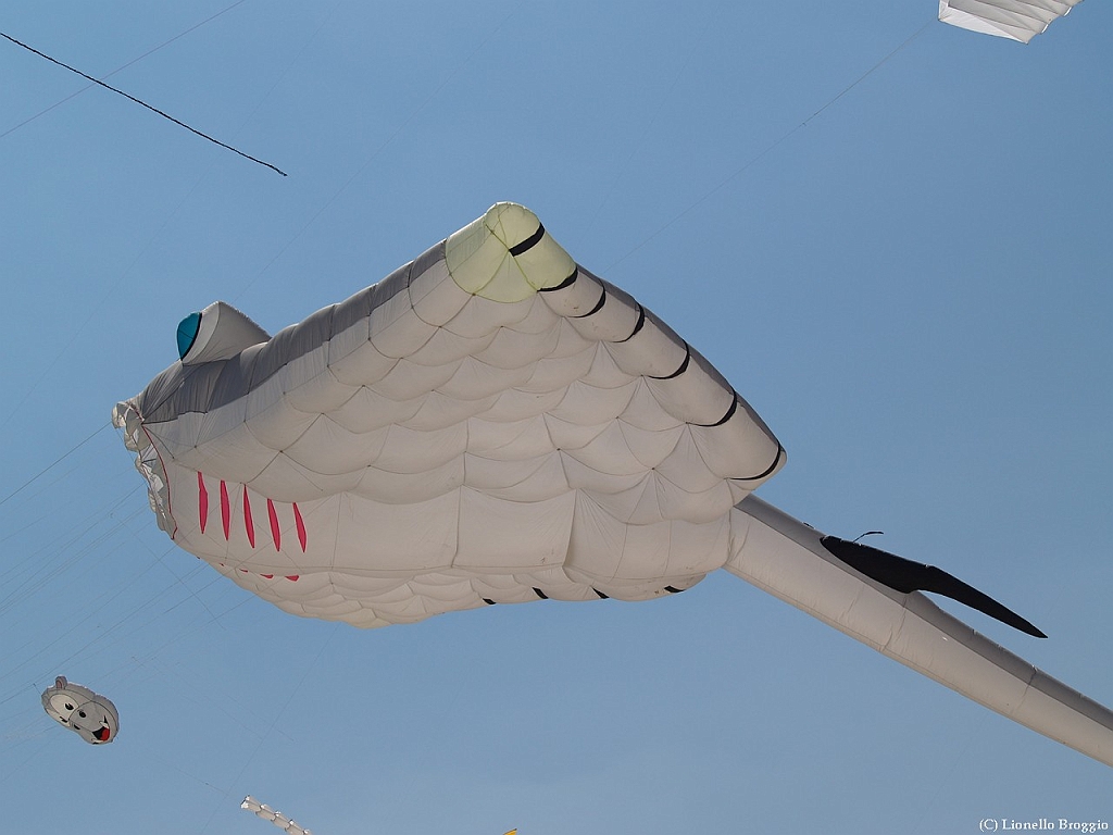 L0300261.jpg