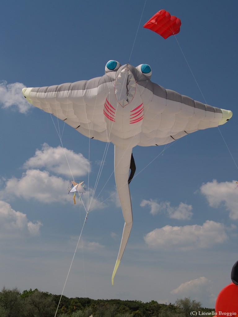 L0300263.jpg
