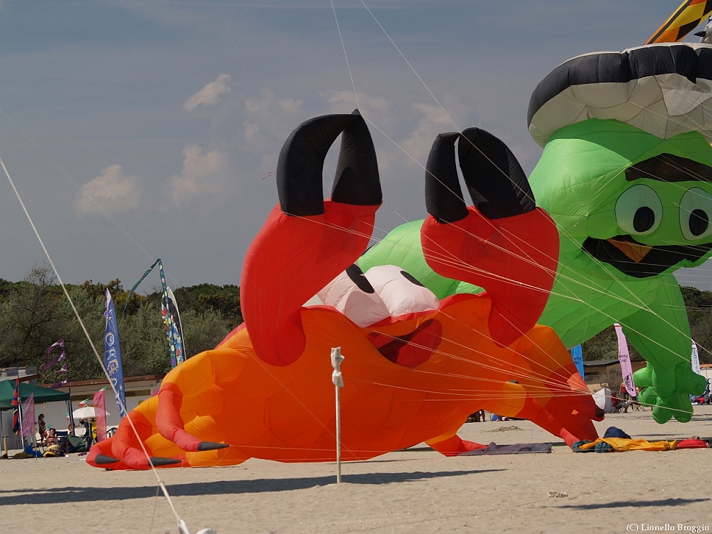 L0300268.jpg