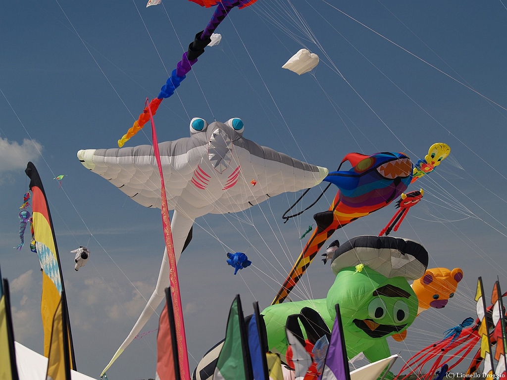 L0300272.jpg