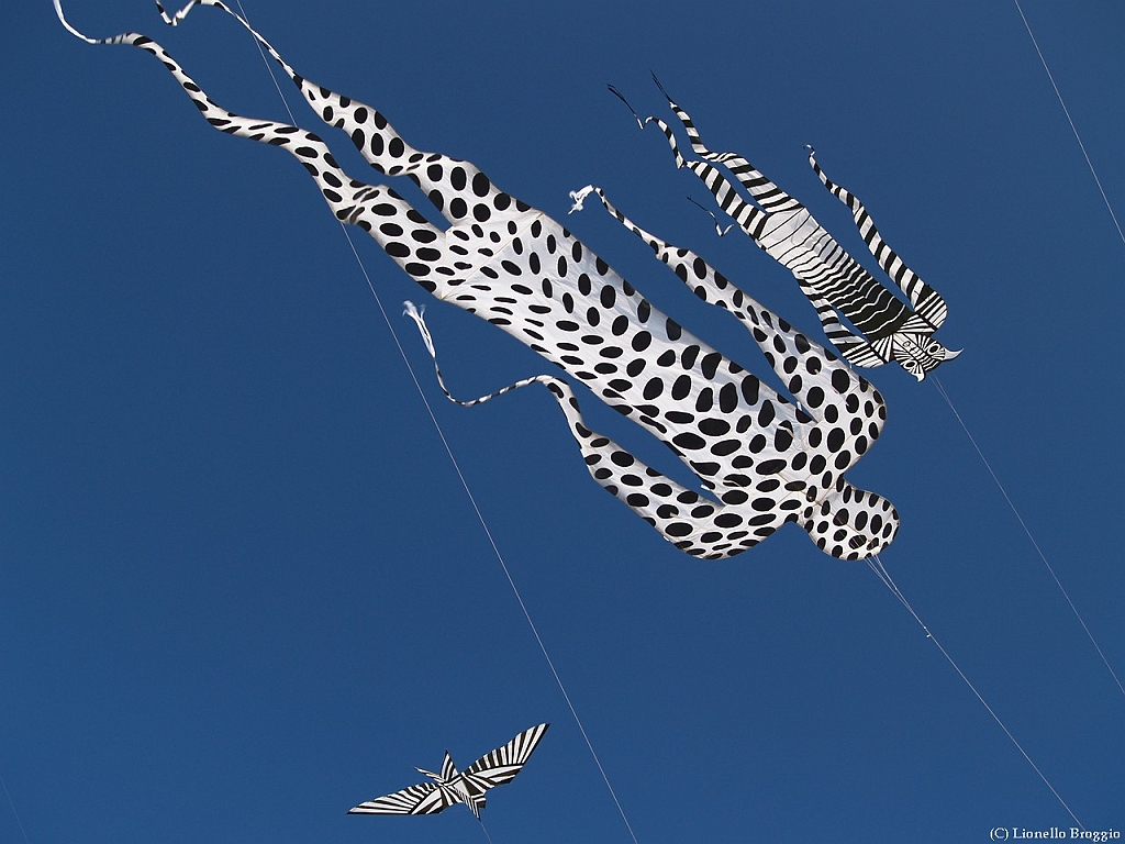 L0300282.jpg