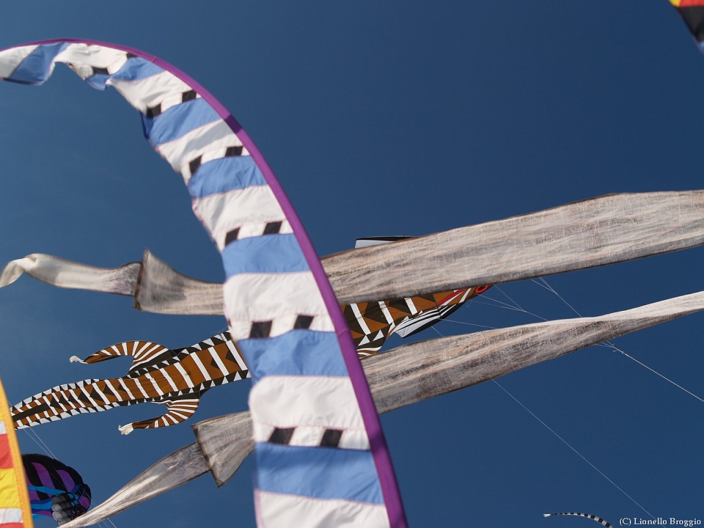 L0300283.jpg