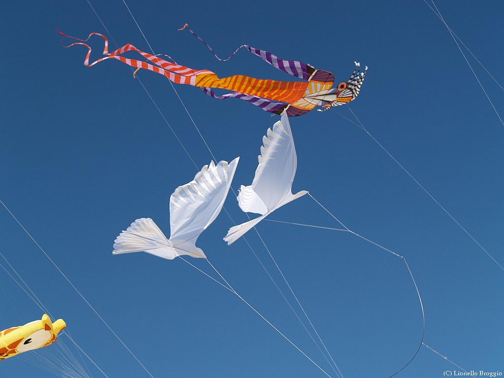 L0300286.jpg