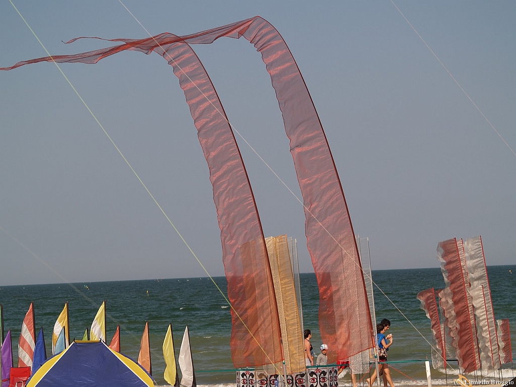 L0300288.jpg