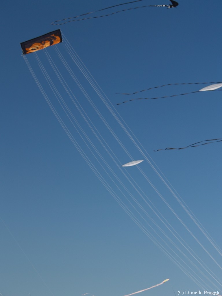 L0300299.jpg
